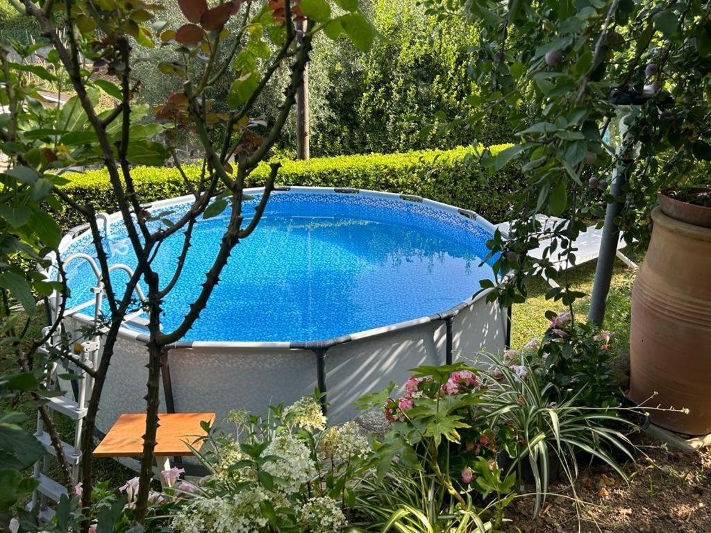Casa Anna A Pietrasanta In Toscana Con Piscina Экстерьер фото